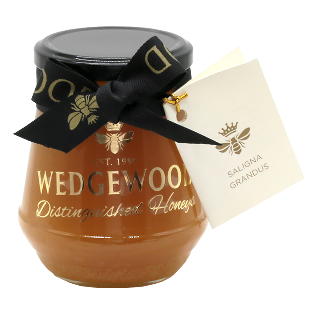 Wedgewood Distinguished Saligna Grandus Honey - Single Tree Species 500g (Ex-Factory Price) | Wedgewood Nougat