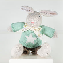Load image into Gallery viewer, Wedgewood Heirloom Rabbit - Bouncing Boy - Green Star | Wedgewood Nougat

