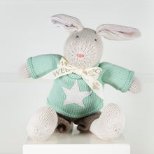 Load image into Gallery viewer, Wedgewood Heirloom Rabbit - Bouncing Boy - Green Star
