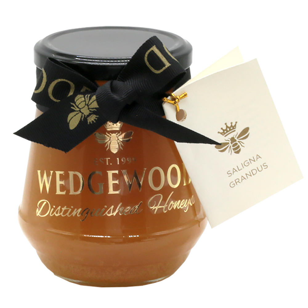 Wedgewood Nougat Wedgewood Distinguished Saligna Grandus Honey - Single Tree Species 500g